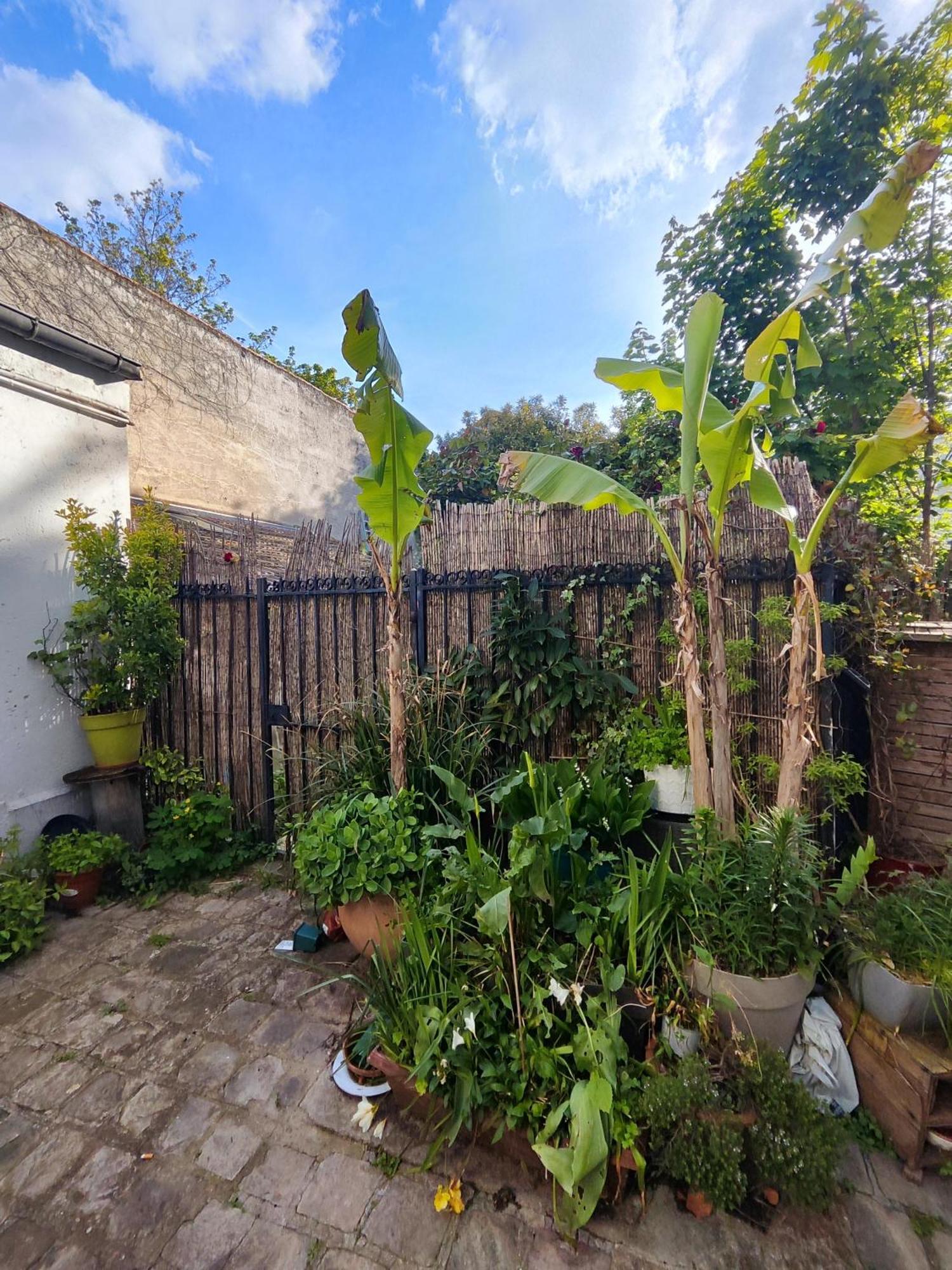 Charming Parisian Studio! Ivry-sur-Seine Exterior foto